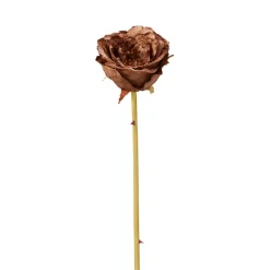Tige de Rose Leslie fermée
