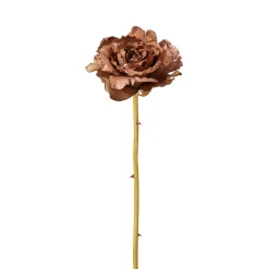 Tige de Rose Leslie ouverte