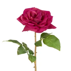 Tige de Rose Premium 50 cm