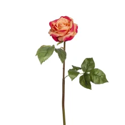 Tige de Rose Sarah