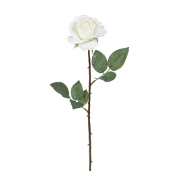 Tige de Rose Sophia