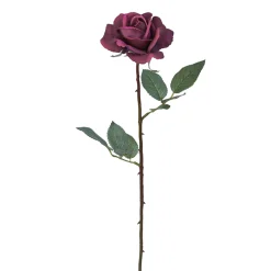 Tige de Rose Sophia