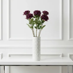 Tige de Rose Sophia