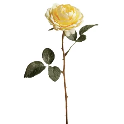 Tige de Rose Tea