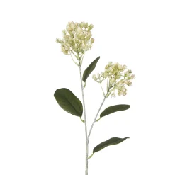 Tige de Sedum 80 cm