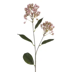 Tige de Sedum 80 cm