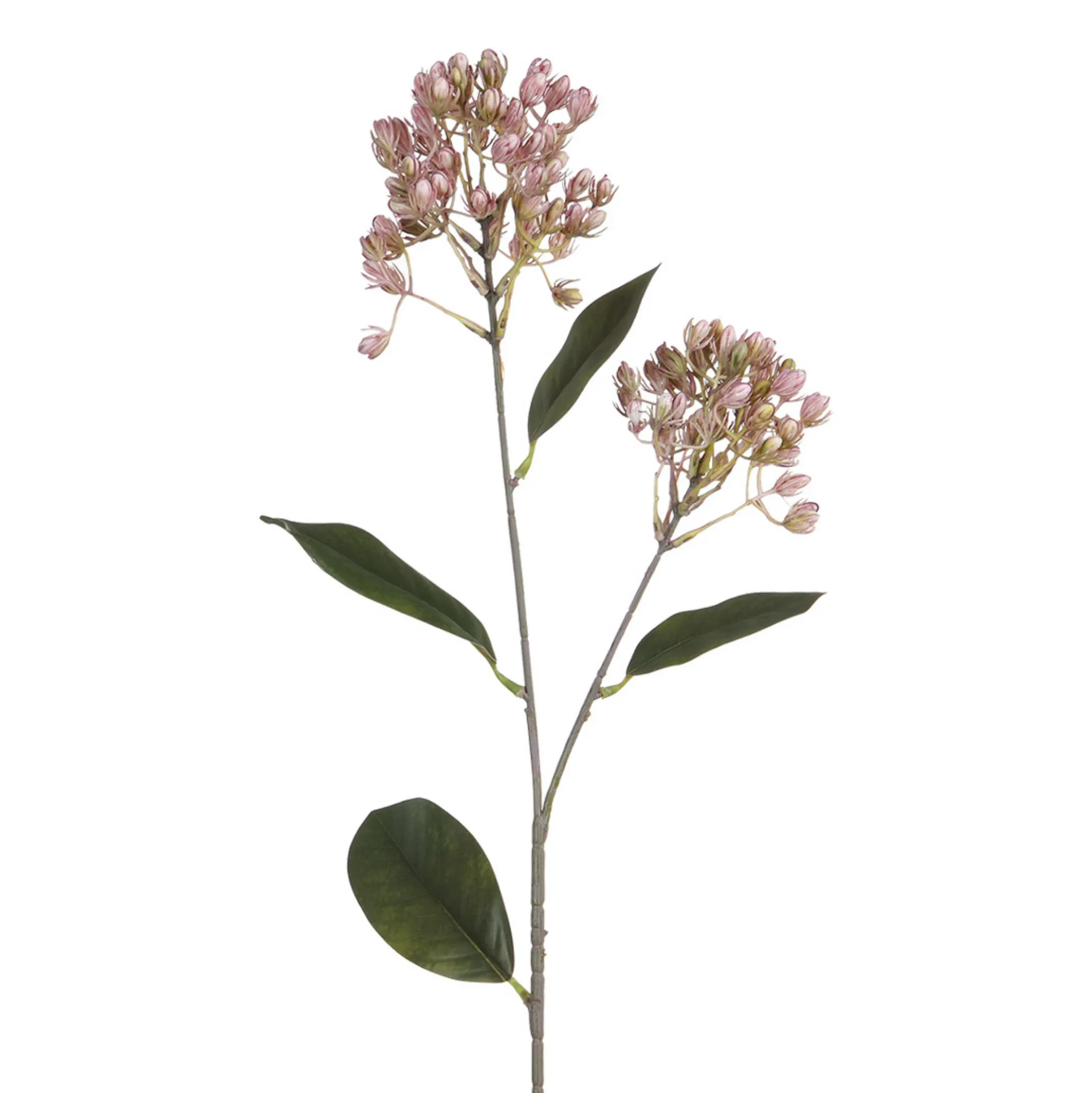 Tige de Sedum 80 cm