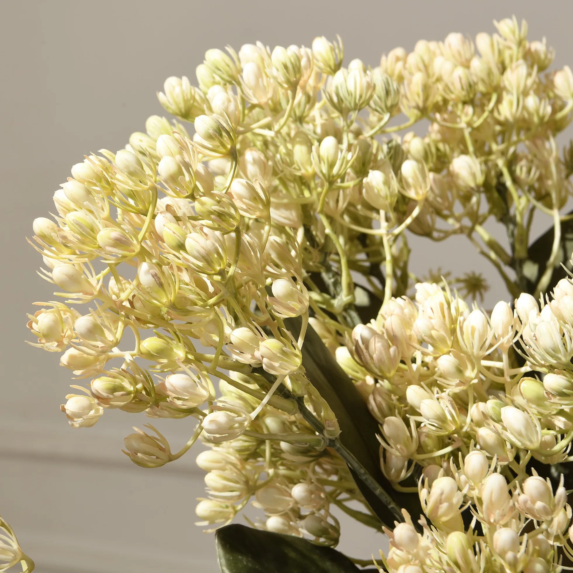 Tige de Sedum 80 cm