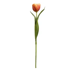 Tige de Tulipe Emilia