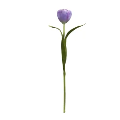 Tige de Tulipe Emilia
