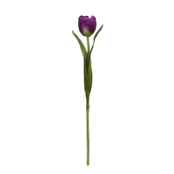 Tige de Tulipe Emilia