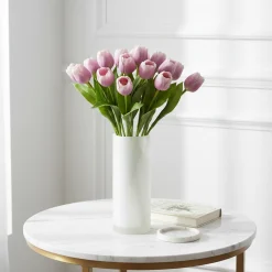 Tige de Tulipe Emilia