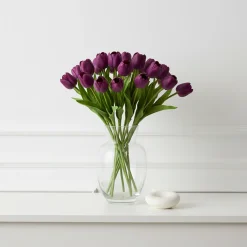 Tige de Tulipe Emilia