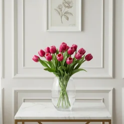 Tige de Tulipe Emilia