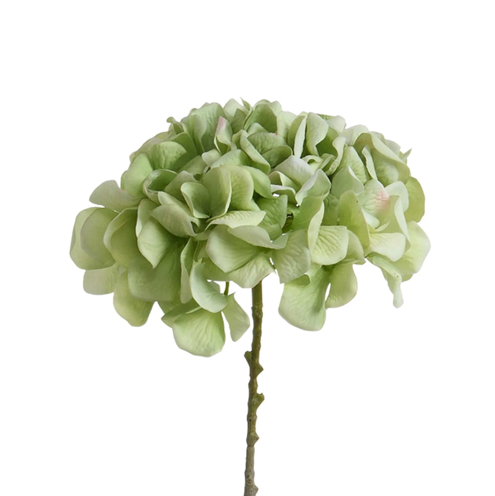 Tige d’Hortensia 63 cm