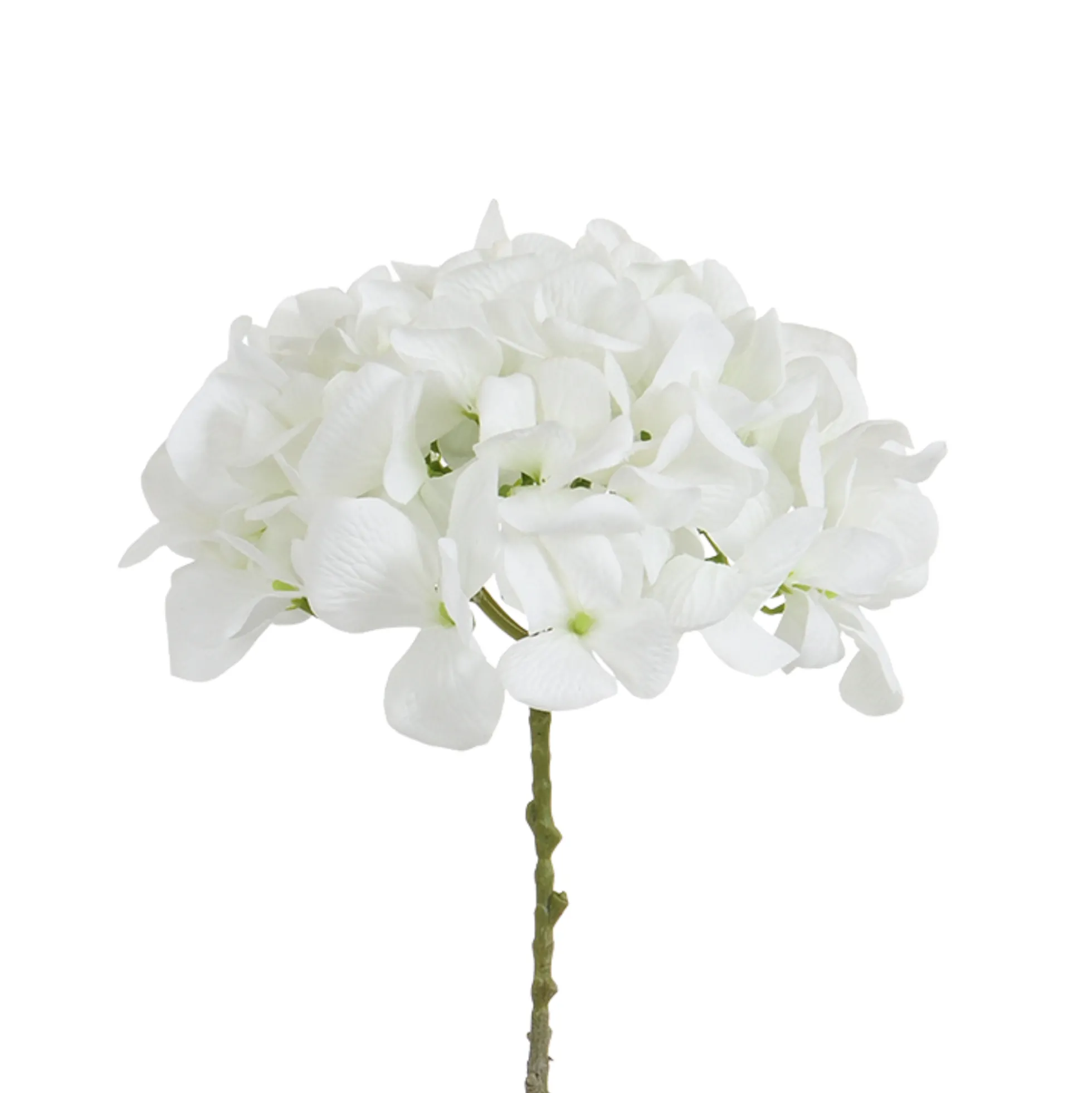 Tige d’Hortensia 63 cm