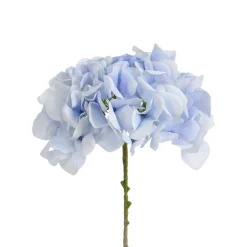 Tige d’Hortensia 63 cm