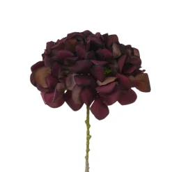 Tige d’Hortensia 63 cm