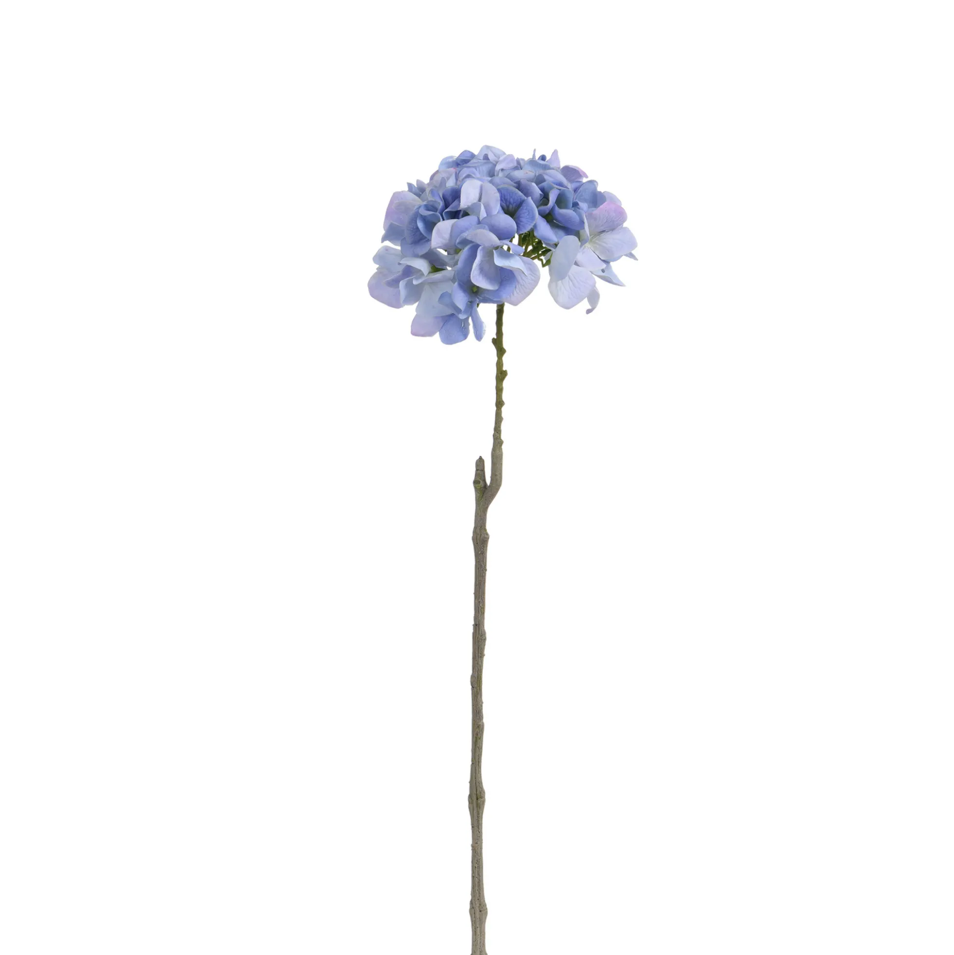 Tige d’Hortensia 63 cm