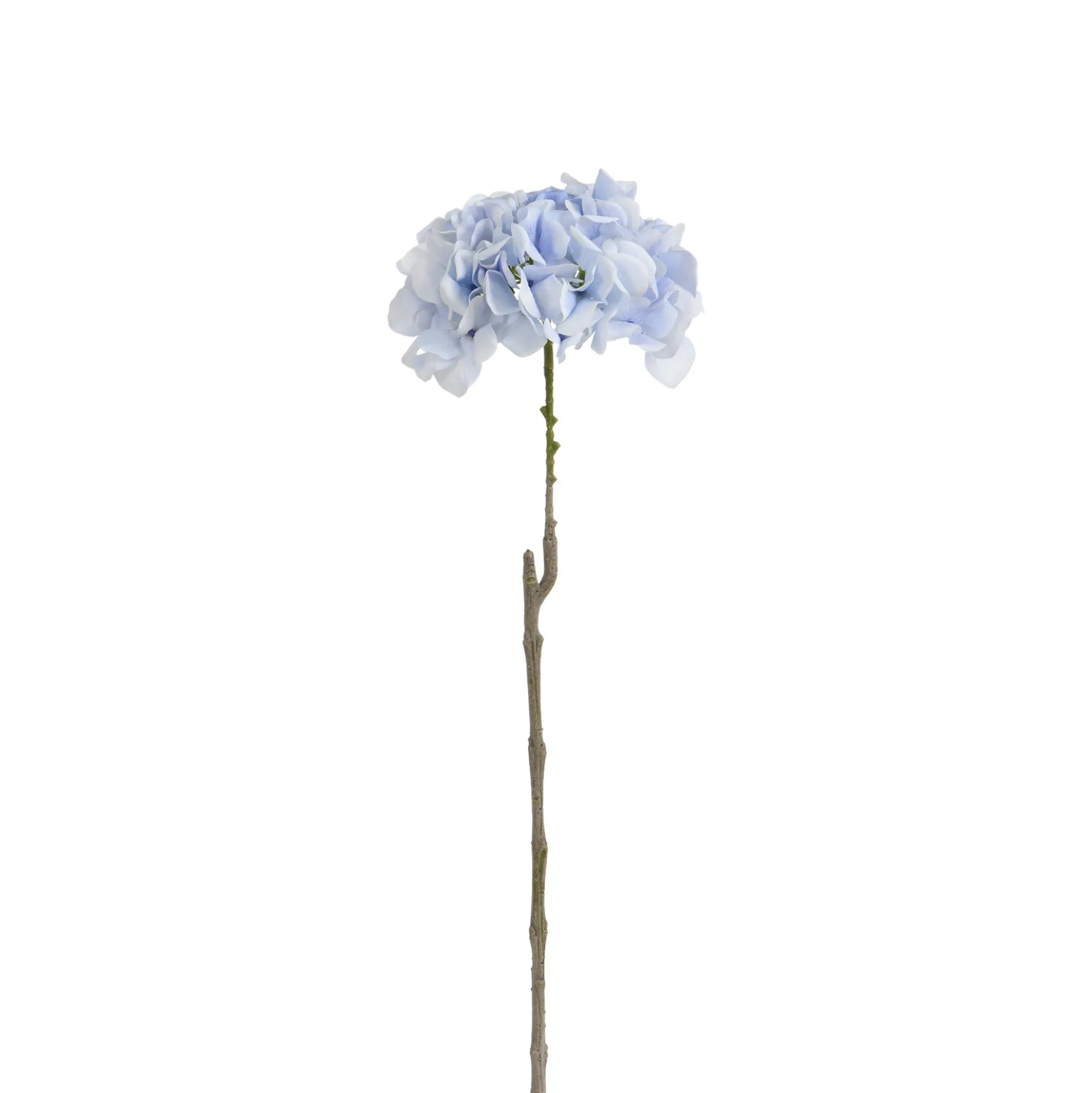 Tige d’Hortensia 63 cm