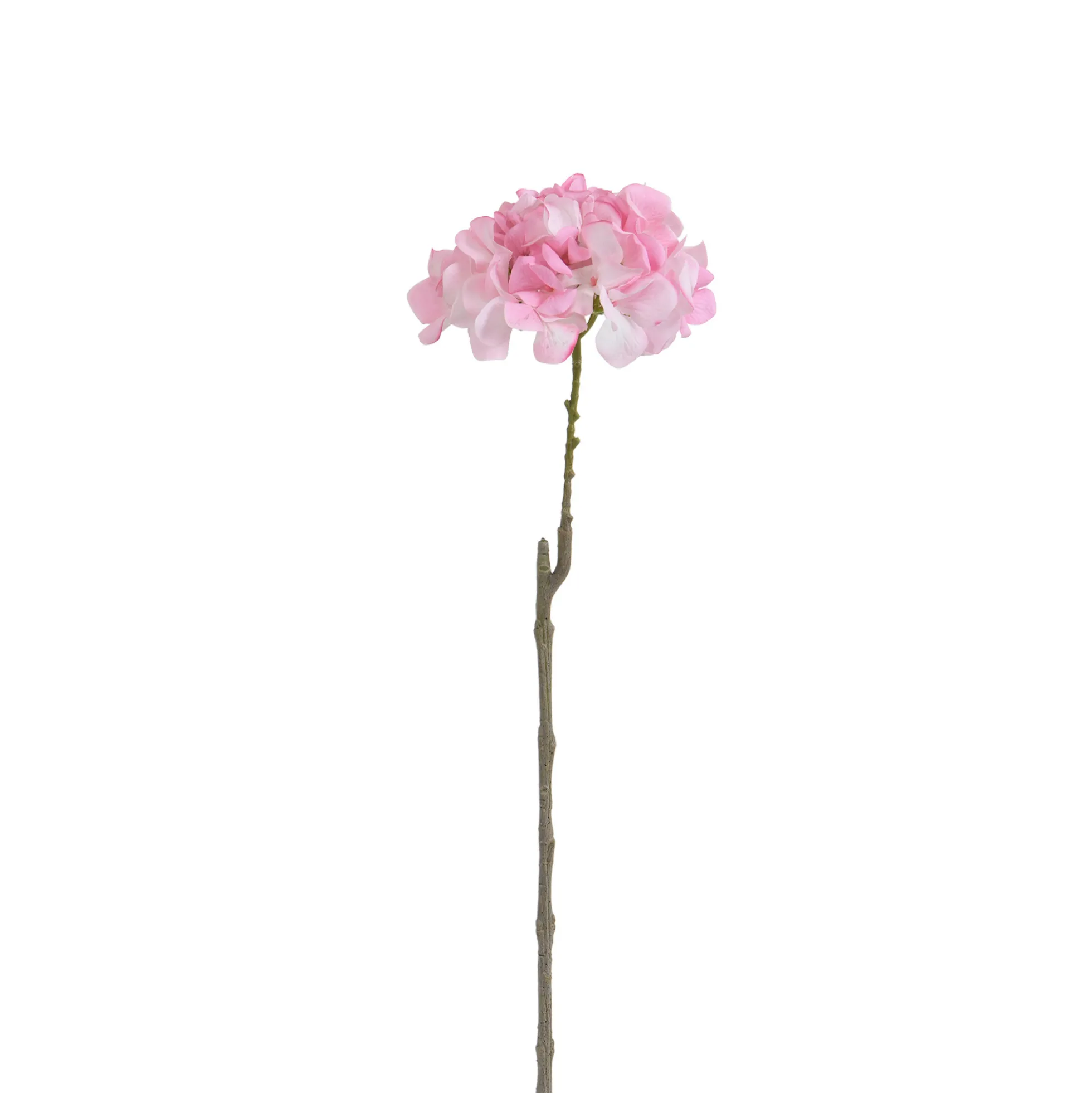Tige d’Hortensia 63 cm