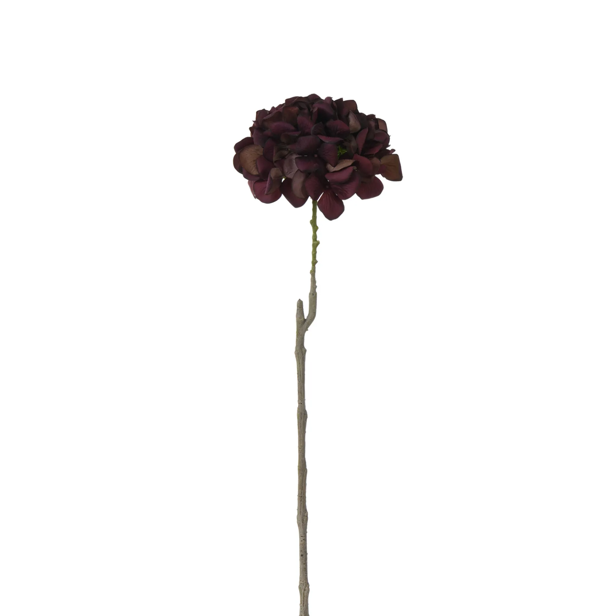 Tige d’Hortensia 63 cm
