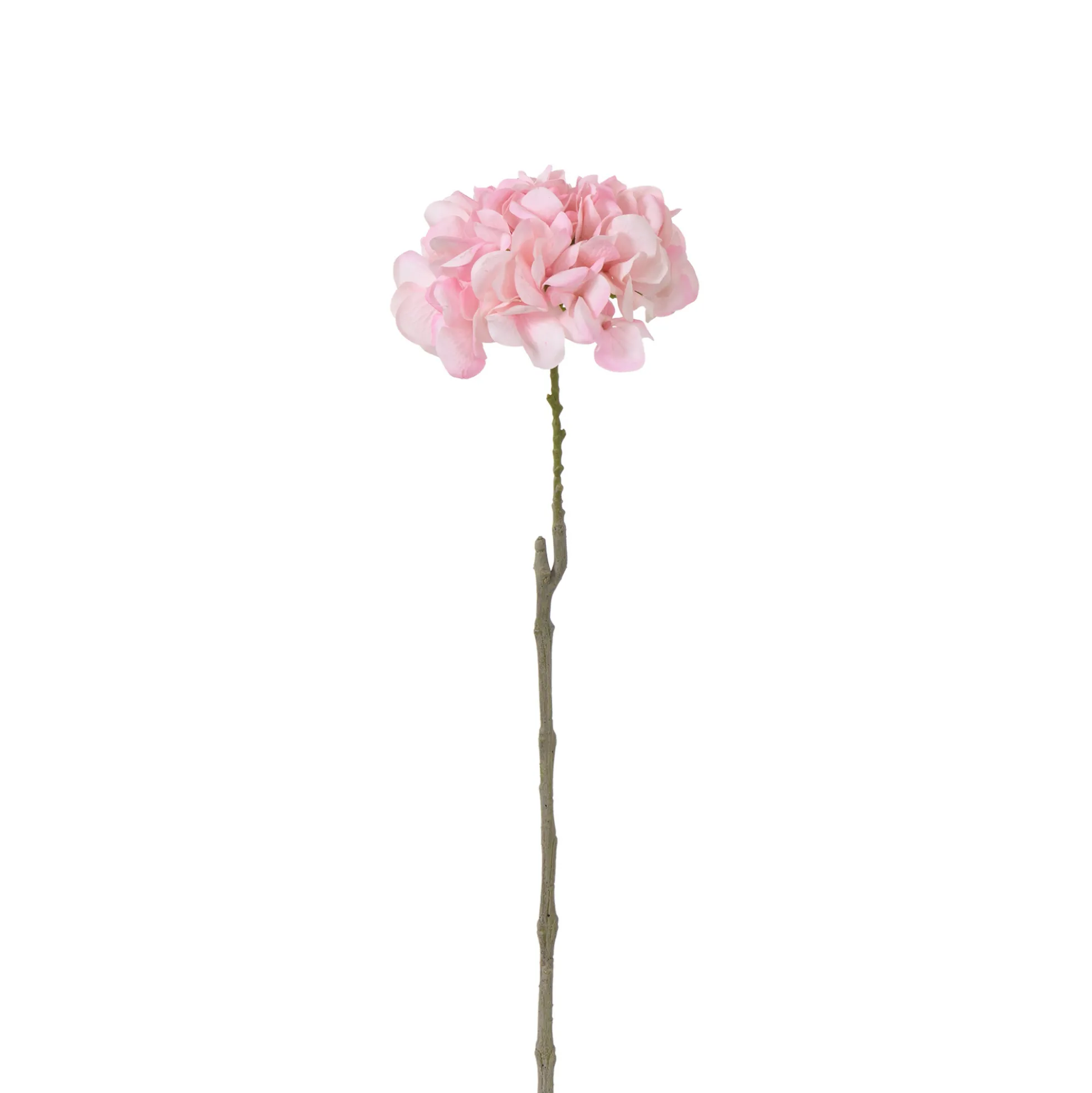 Tige d’Hortensia 63 cm