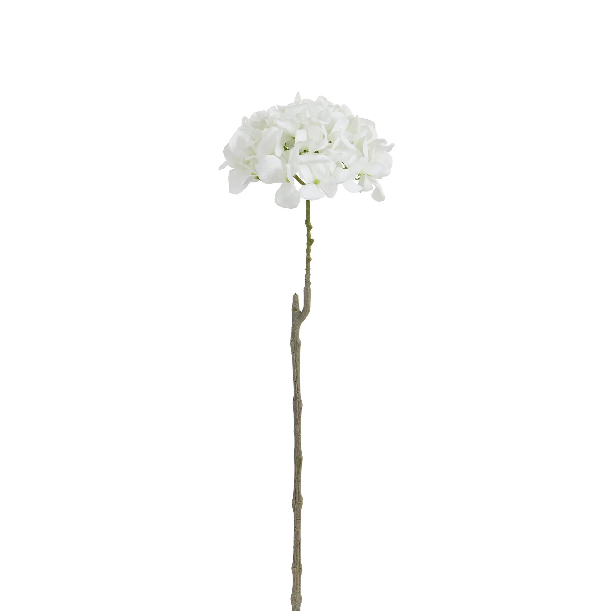 Tige d’Hortensia 63 cm