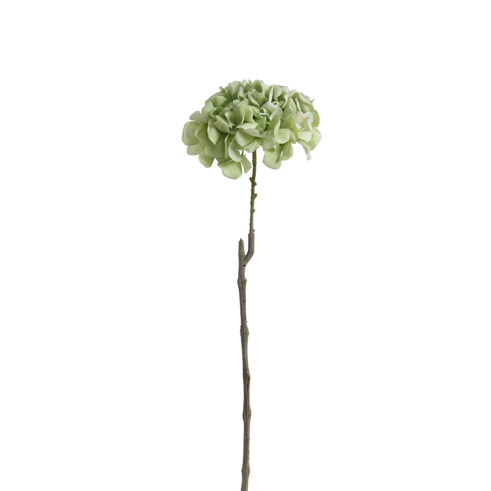 Tige d’Hortensia 63 cm