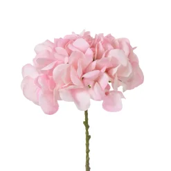 Tige d’Hortensia 63 cm