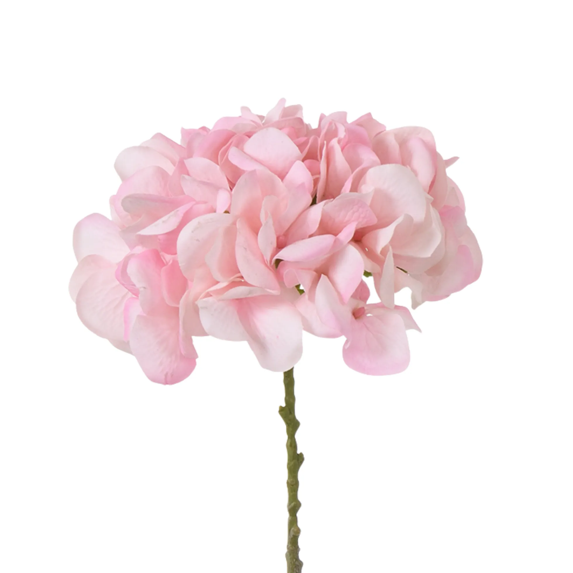 Tige d’Hortensia 63 cm