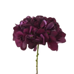 Tige d’Hortensia 63 cm