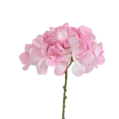 Tige d’Hortensia 63 cm
