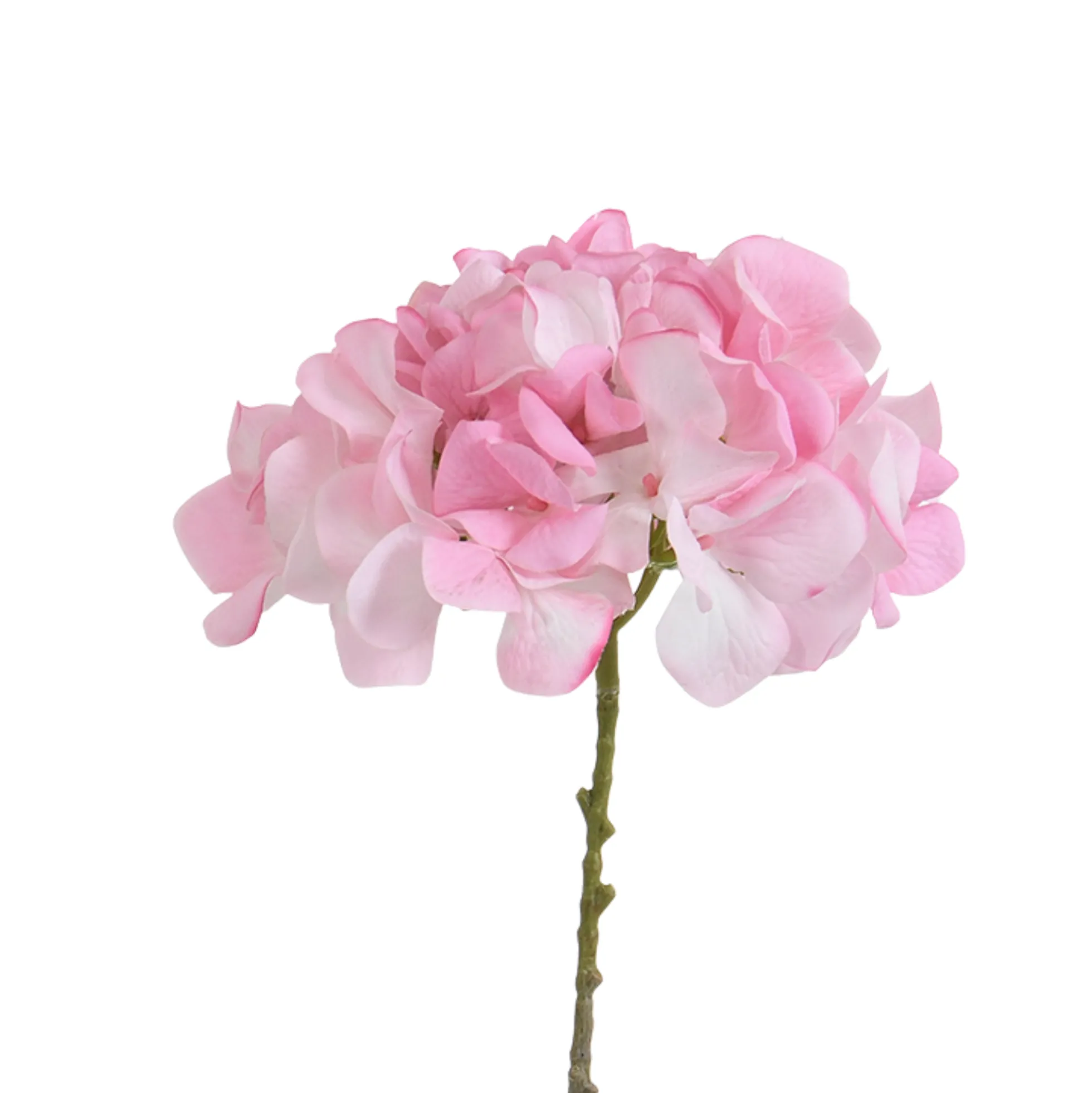 Tige d’Hortensia 63 cm