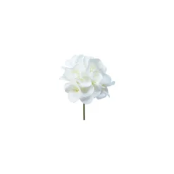 Tige d'Hydrangea à piquer
