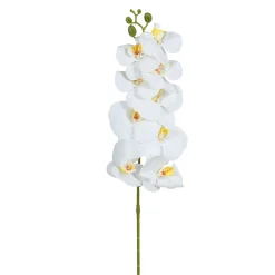 Tige d’Orchidée 90 cm