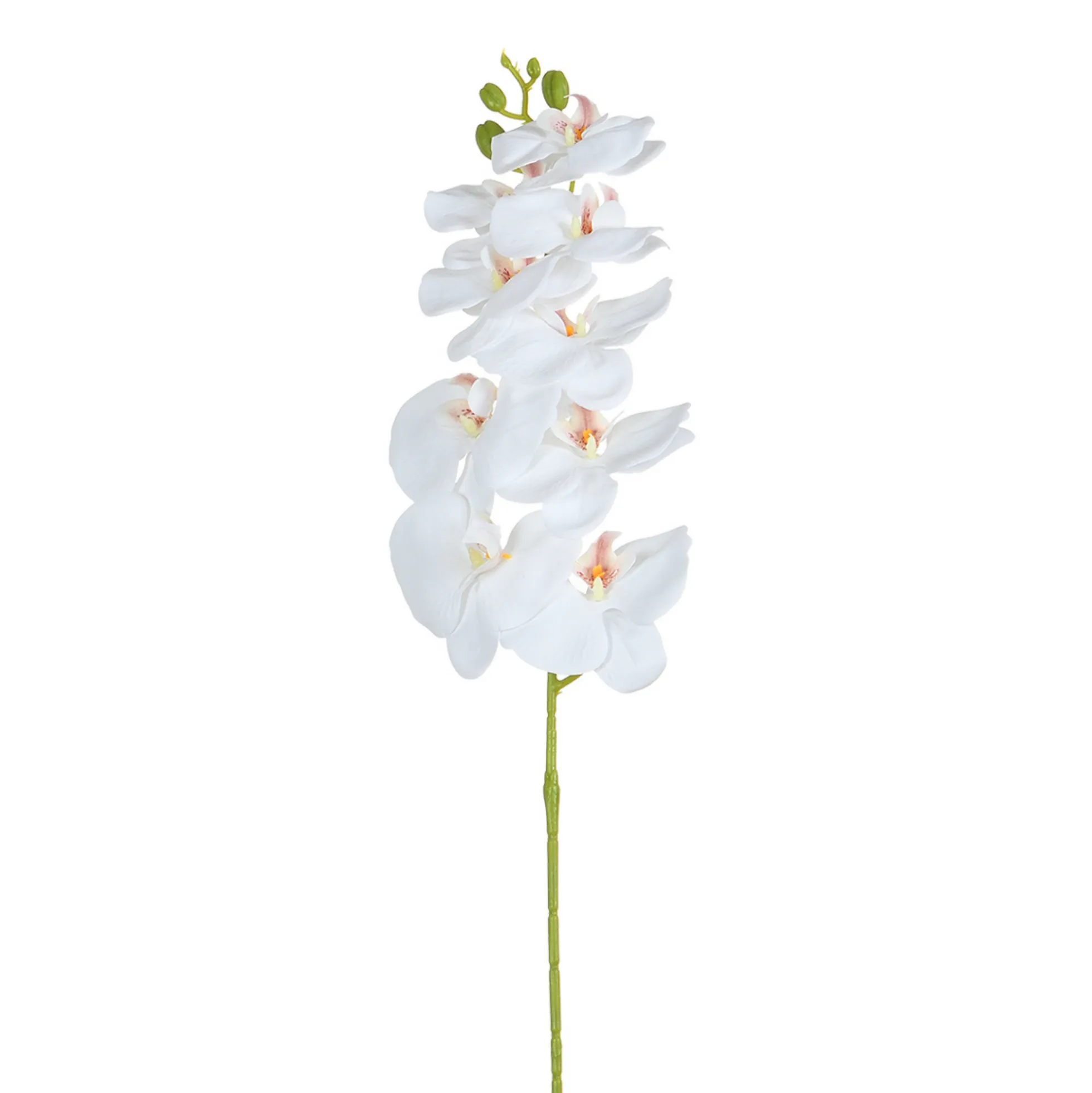 Tige d’Orchidée 90 cm