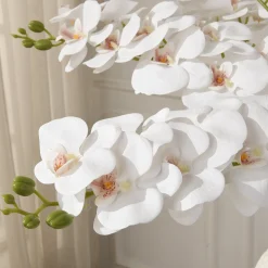 Tige d’Orchidée 90 cm