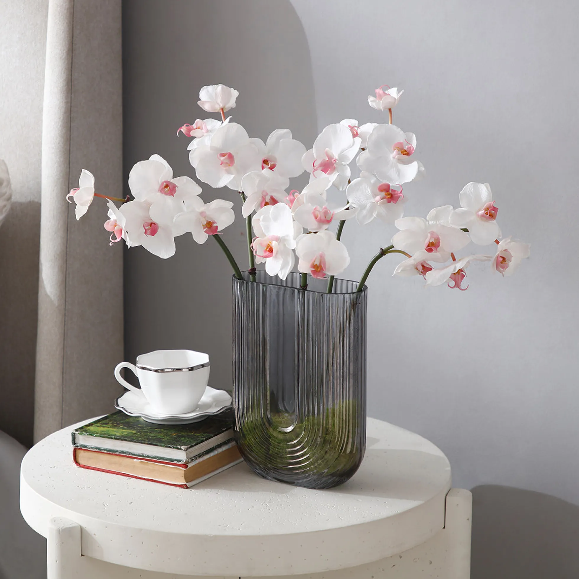 Tige d'Orchidée Phalaenopsis