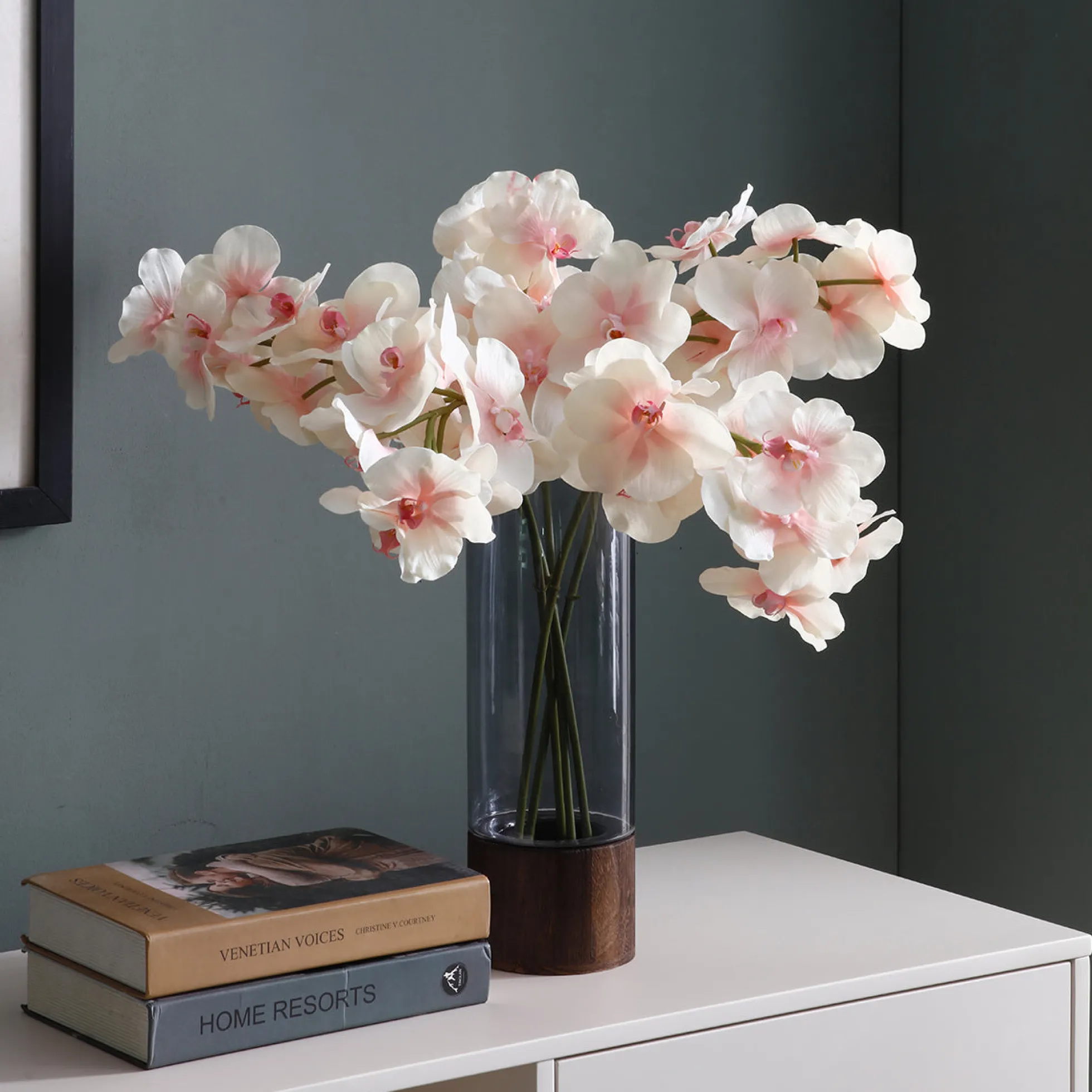 Tige d'Orchidée Phalaenopsis