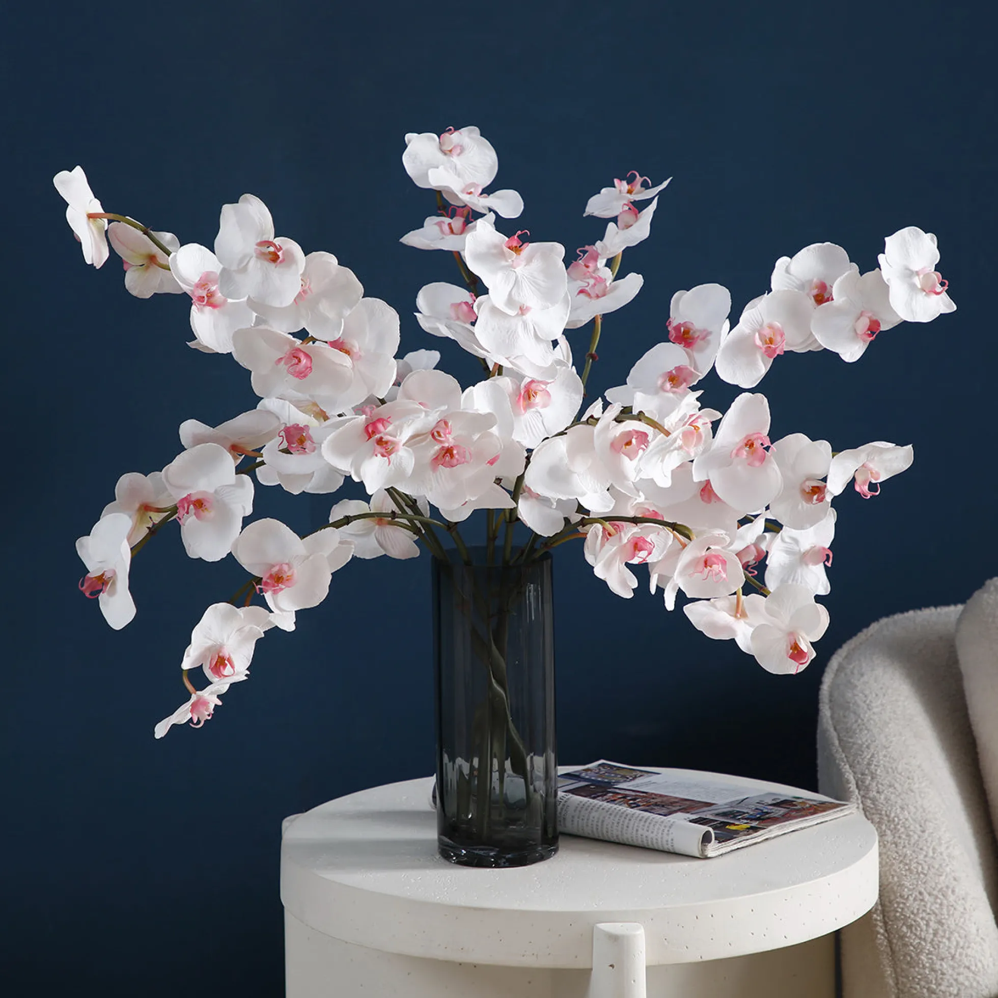 Tige d'Orchidée Phalaenopsis