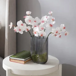 Tige d'Orchidée Phalaenopsis