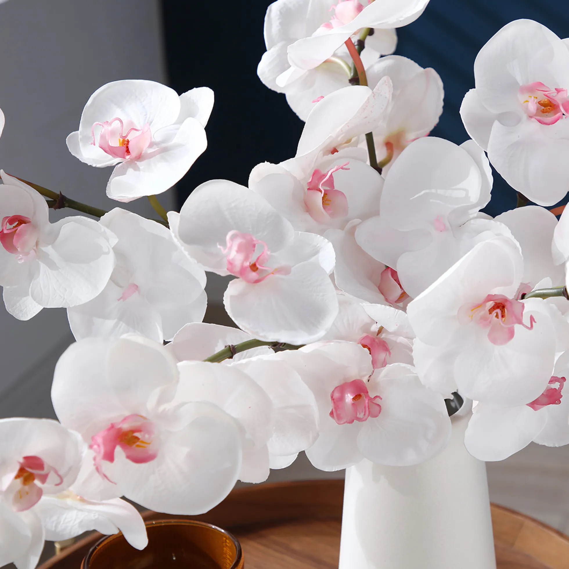 Tige d'Orchidée Phalaenopsis