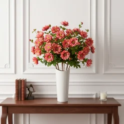 Tige Helleborus Niger avec bourgeon